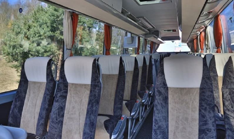 France: Coach charter in Grand Est in Grand Est and Colmar